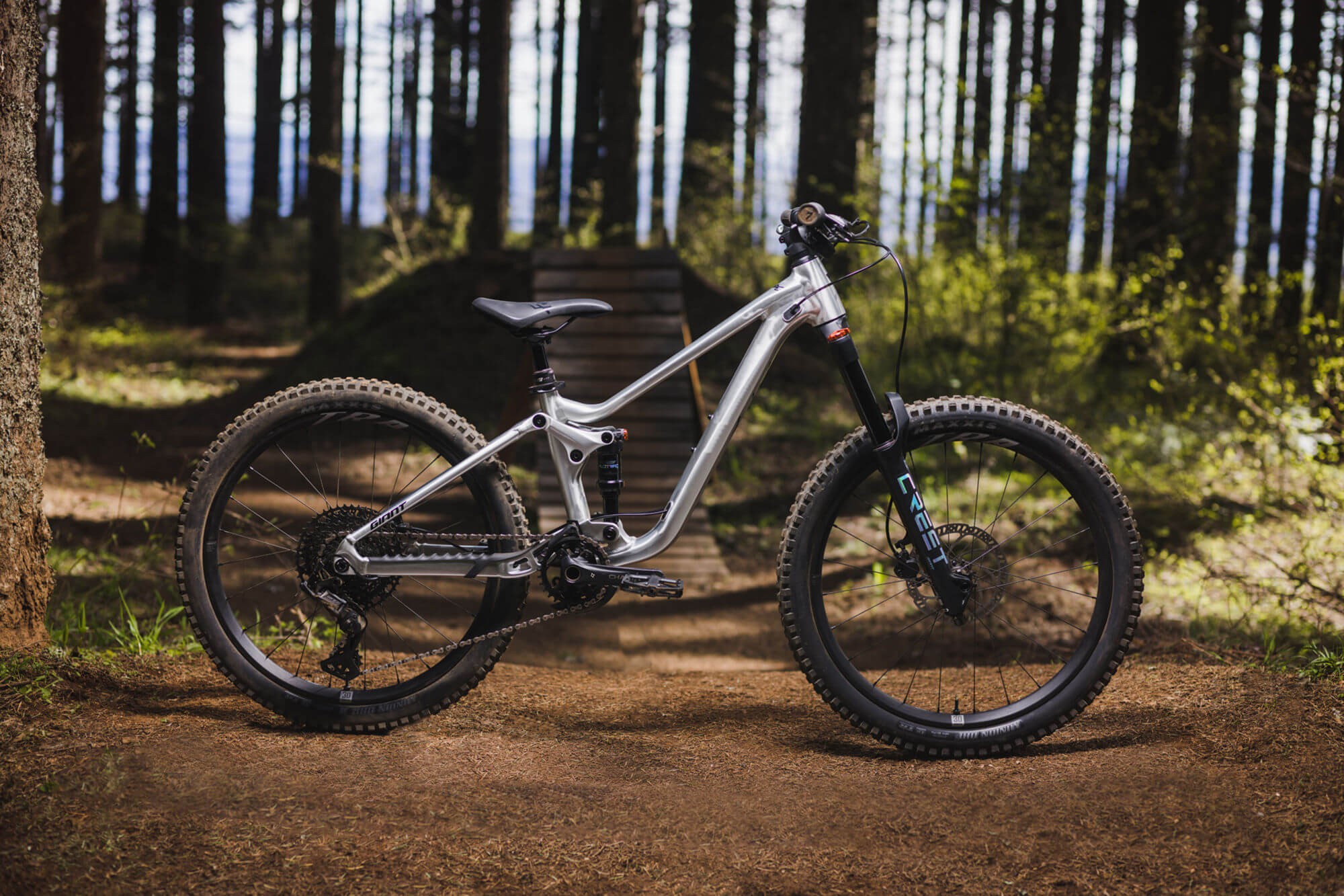 Giant Faith 24" 2025