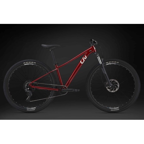 Rower górski Liv Tempt 2 2024 w kolorze Dried Chilli