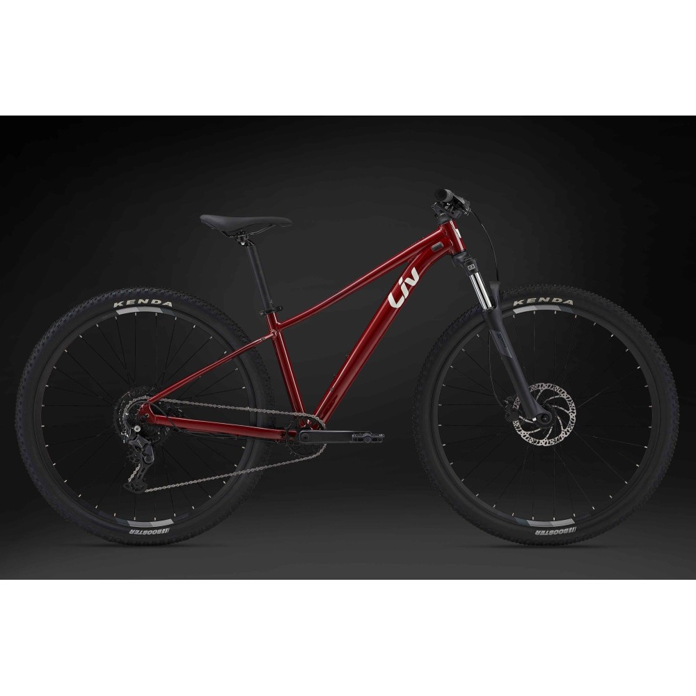 Rower górski Liv Tempt 2 2024 w kolorze Dried Chilli