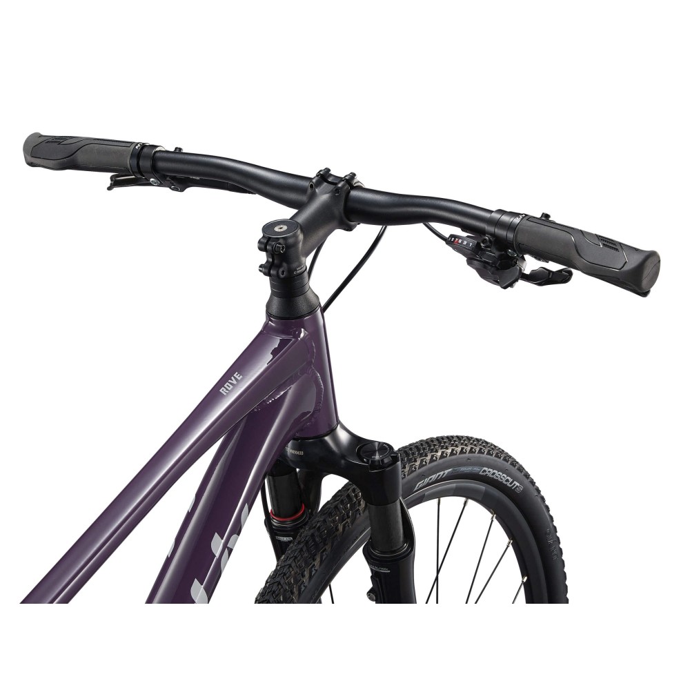 Liv Rove 1 Tyrian Purple 2026