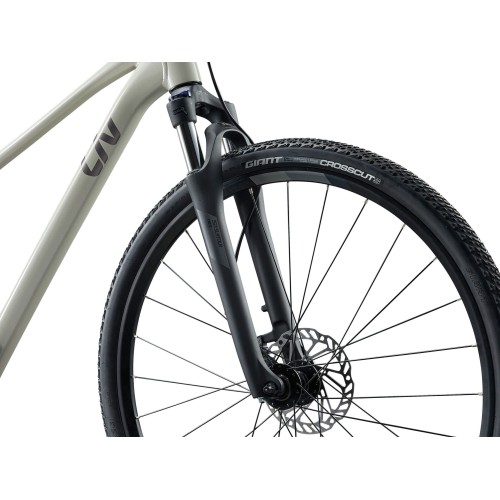 Liv Rove 3 - damski rower crossowy w modnym kolorze Pulp Gray