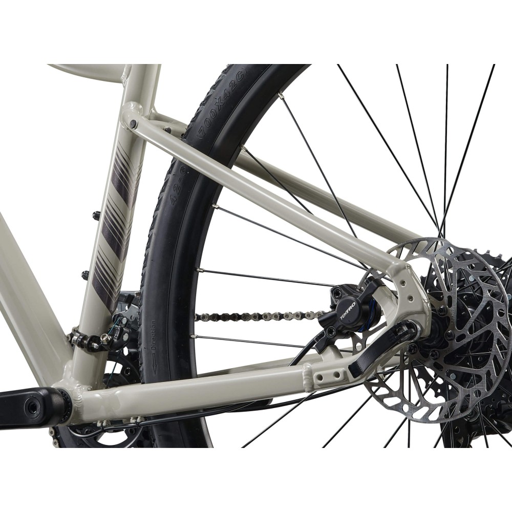 Liv Rove 3 - damski rower crossowy w modnym kolorze Pulp Gray