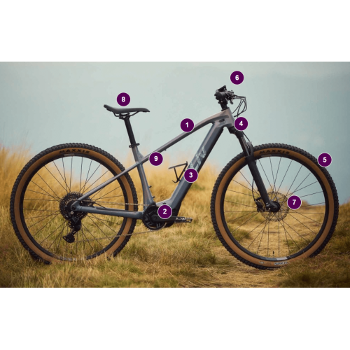 Liv Tempt E+ - główne cechy