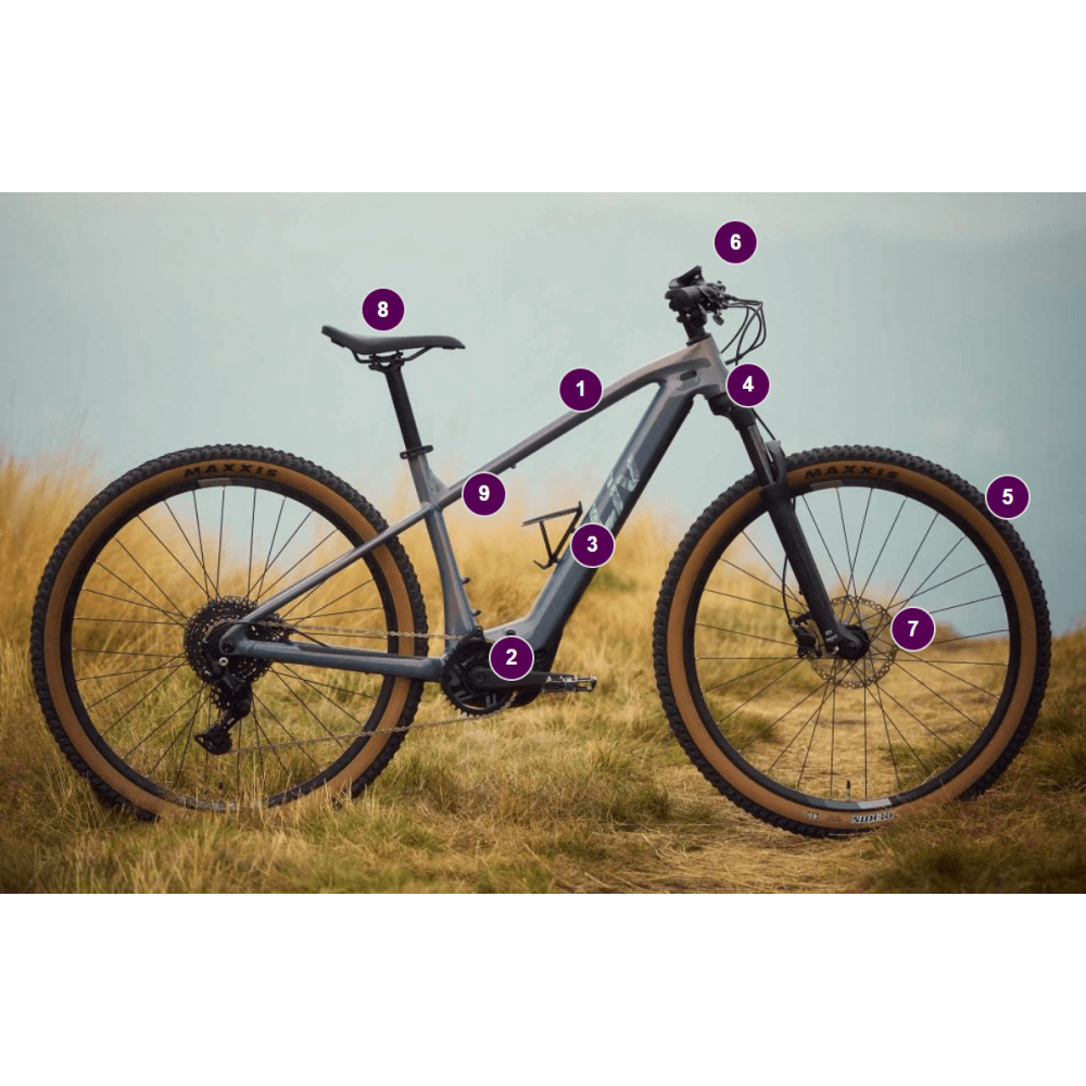 Liv Tempt E+ - główne cechy