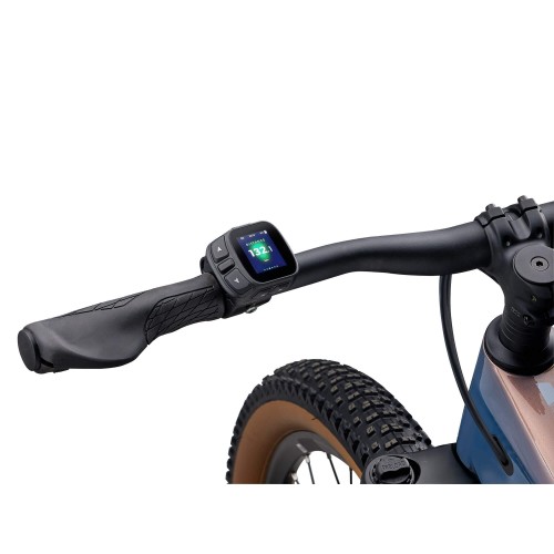 Liv Tempt E+ w kolorze Lunar Eclipse - sklep Liv Kraków