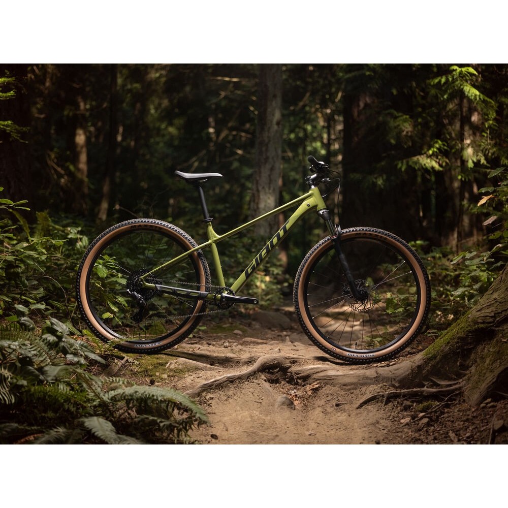 Giant Talon 2  w lesie