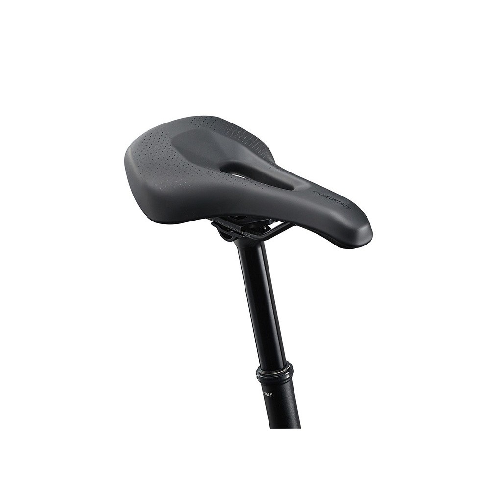 Rower górski Liv Tempt 0 - sklep rowerowy Giant Kraków