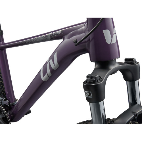 Rower górski Liv Tempt 3 29"  - sklep rowerowy Giant Kraków