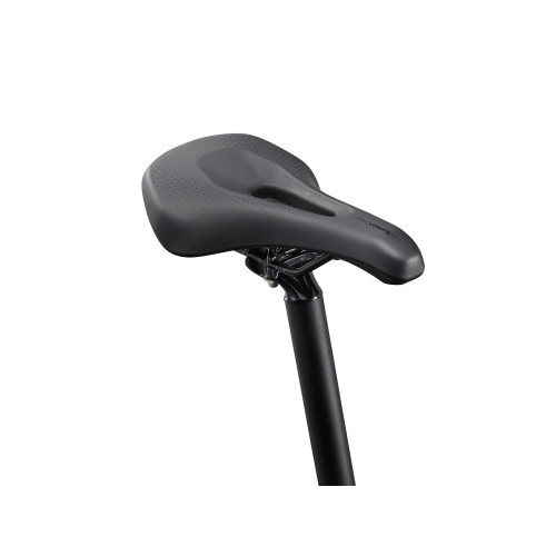 Rower górski Liv Tempt 3 29"  - sklep rowerowy Giant Kraków